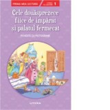 Cele douasprezece fiice de imparat si palatul fermecat. Poveste cu pictograme. Citesc cu ajutor (nivelul 1)