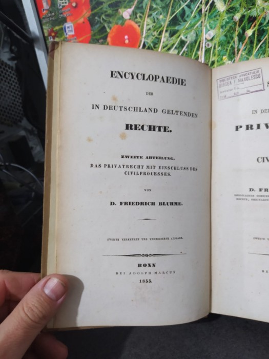 Friedrich Bluhme System des in Deutschland geltenden Privatsrechts Bonn 1855 113