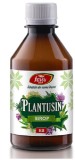 SIROP PLANTUSIN 250ml FARES