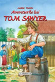 Aventurile lui Tom Sawyer, flamingo