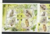Pasari rapitoare,WWF,Iran., Fauna, Nestampilat