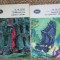 PRABUSIREA CASEI USHER. AVENTURILE LUI GORDON PYM VOL.1-2-E.A. POE