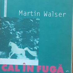 CAL IN FUGA - MARTIN WALSER - ED. HUMANITAS, 2004