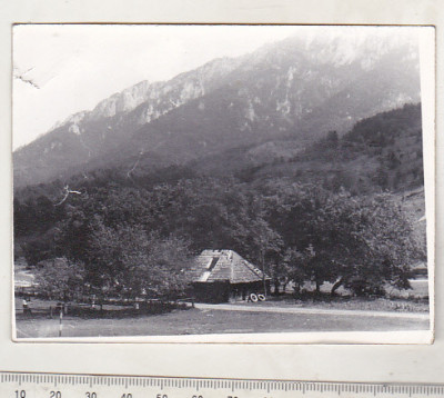 bnk foto Piatra Craiului - Plaiul Foii - 1973 foto