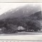bnk foto Piatra Craiului - Plaiul Foii - 1973