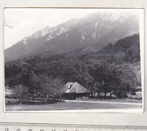 bnk foto Piatra Craiului - Plaiul Foii - 1973