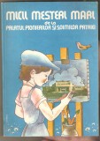 Micii mesteri mari de la palatul pionerilor si soimilor patriei