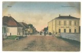 4646 - TEIUS, Alba, Romania - old postcard - unused, Necirculata, Printata