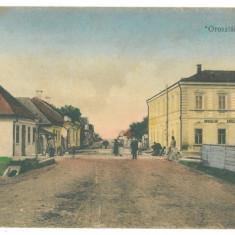 4646 - TEIUS, Alba, Romania - old postcard - unused