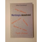 Mihai Gramatopol - Morfologia dezastrului