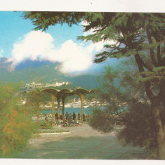 FA41 -Carte Postala- UCRAINA - Crimeea, Yalta, necirculata 1989