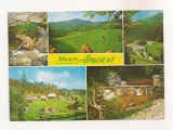 RF84 - Carte Postala - Muntii Apuseni, circulata 1974