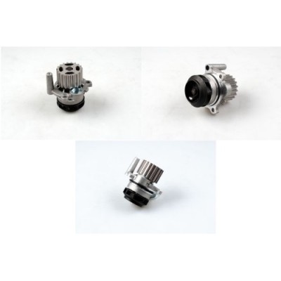 Pompa apa Hepu P550 foto