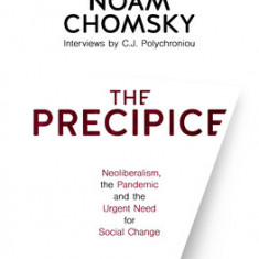 The Precipice: Neoliberalism, the Pandemic, and the Urgent Need for Radical Change: Neoliberalism, the Pandemic and Urgent Need for Radical Change