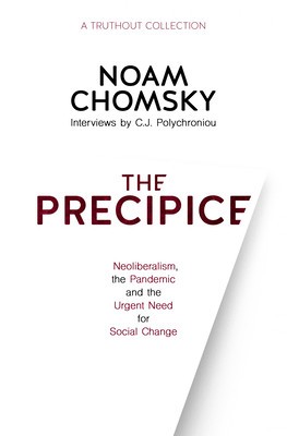 The Precipice: Neoliberalism, the Pandemic, and the Urgent Need for Radical Change: Neoliberalism, the Pandemic and Urgent Need for Radical Change foto