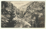Cp Campulung : Intrarea in Dambovicioara - UPU, circulata 1919, timbru