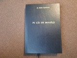 Al. Duiliu Zamfirescu, Pe căi de Miazăzi, cu dedicația olografă