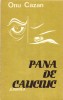 AS - ONU CAZAN - PANA DE CAUCIUC (CU AUTOGRAF)