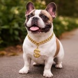 Colier pentru animale de companie cu pandantiv dolar, 35 cm, auriu, CMCLASS