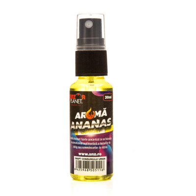 Aroma spray ananas 30ml foto