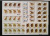 YEMEN K. -FAUNA-serie complecta 10 X 8 V.-MNH**.- YK 002Aa, Asia