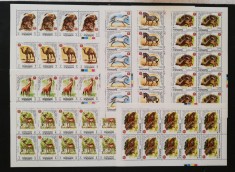 YEMEN K. -FAUNA-10 x 8 V.DANTELATE in 8 Coli a 10 V..-MNH**.- YK 002Aa