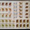 YEMEN K. -FAUNA-serie complecta 10 X 8 V.-MNH**.- YK 002Aa