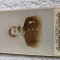 Fotografie veche colonelul ION I GHEORGHIADE ANII 1880.dimensiuni 16 cm x11 cm