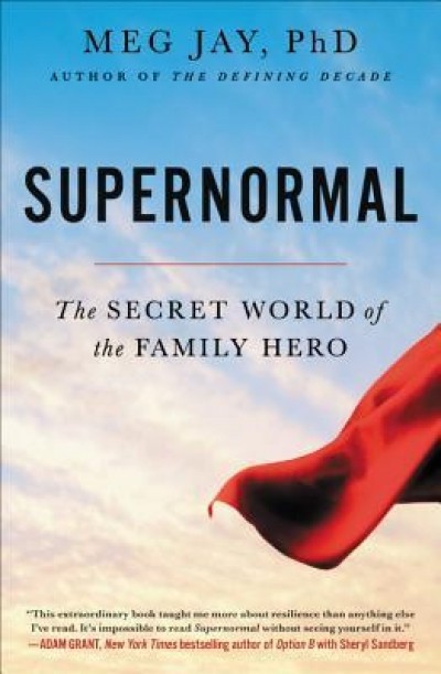 Supernormal: The Secret World of the Family Hero