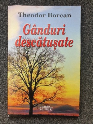 GANDURI DESCATUSATE - Theodor Borcan foto