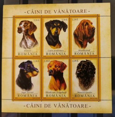 Romania MNH 2005 - Caini de Vanatoare - LP 1694a bloc X10 foto