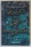 CASA DE SARE SI AMARACIUNI , roman de ERIN A. CRAIG , 2020