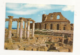 FA20-Carte Postala- LIBIA - Roman Ruins, necirculata, Fotografie