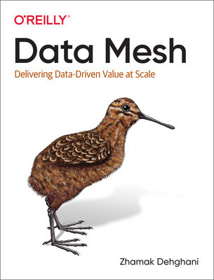Data Mesh: Delivering Data-Driven Value at Scale foto