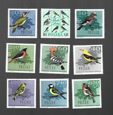 POLONIA PASARI MNH foto