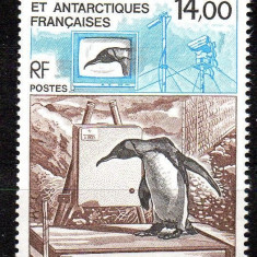 TAAF 1993, Fauna, serie neuzată, MNH