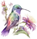 Sticker decorativ, Pasarea Colibri, Multicolor, 62 cm, 1271STK-2