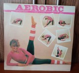 Disc vinil Aerobic -Neoton Familia NM-