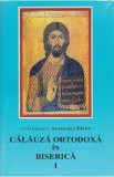 Calauza ortodoxa in biserca I - Ioanichie Balan