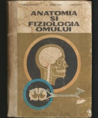 ANATOMIA ȘI FIZIOLOGIA OMULUI - VIORICA STĂNESCU- MANUAL BIOLOGIE CLASA XI-A