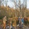 Living with Trees: A Common Ground Handbook