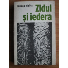 Mircea Malita - Zidul si iedera