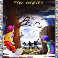 Aventurile lui Tom Sawyer