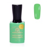 Cumpara ieftin Oja semipermanenta Premium 15 ml, 029