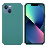 Husa protectie flippy compatibila cu samsung s10 lite liquid silicone verde