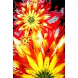 Covor Model Flower 11012-150, Marime 80 x 150 cm, Multicolor, Inaltime Fir 9 mm, Antialergic, Polipropilena, Living, Dormitor, Sufragerie, Birou