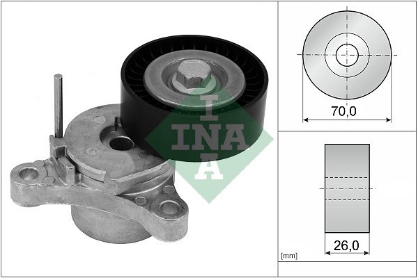 INA 534 0666 10 Intinzator curea, curea distributie
