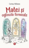 Matei si oglinzile fermecate, Datagroup