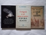 Cumpara ieftin DICTIONARUL CELOR MAI BUNE CARTI DE ISTORIE ROMANEASCA- OVIDIU PECICAN+ O ENIGMA