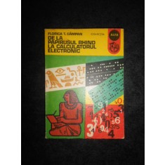 FLORICA T. CAMPAN - DE LA PAPIRUSUL RHIND LA CALCULATORUL ELECTRONIC